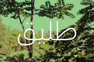 Taleeq: The Fluent Arabic Typeface